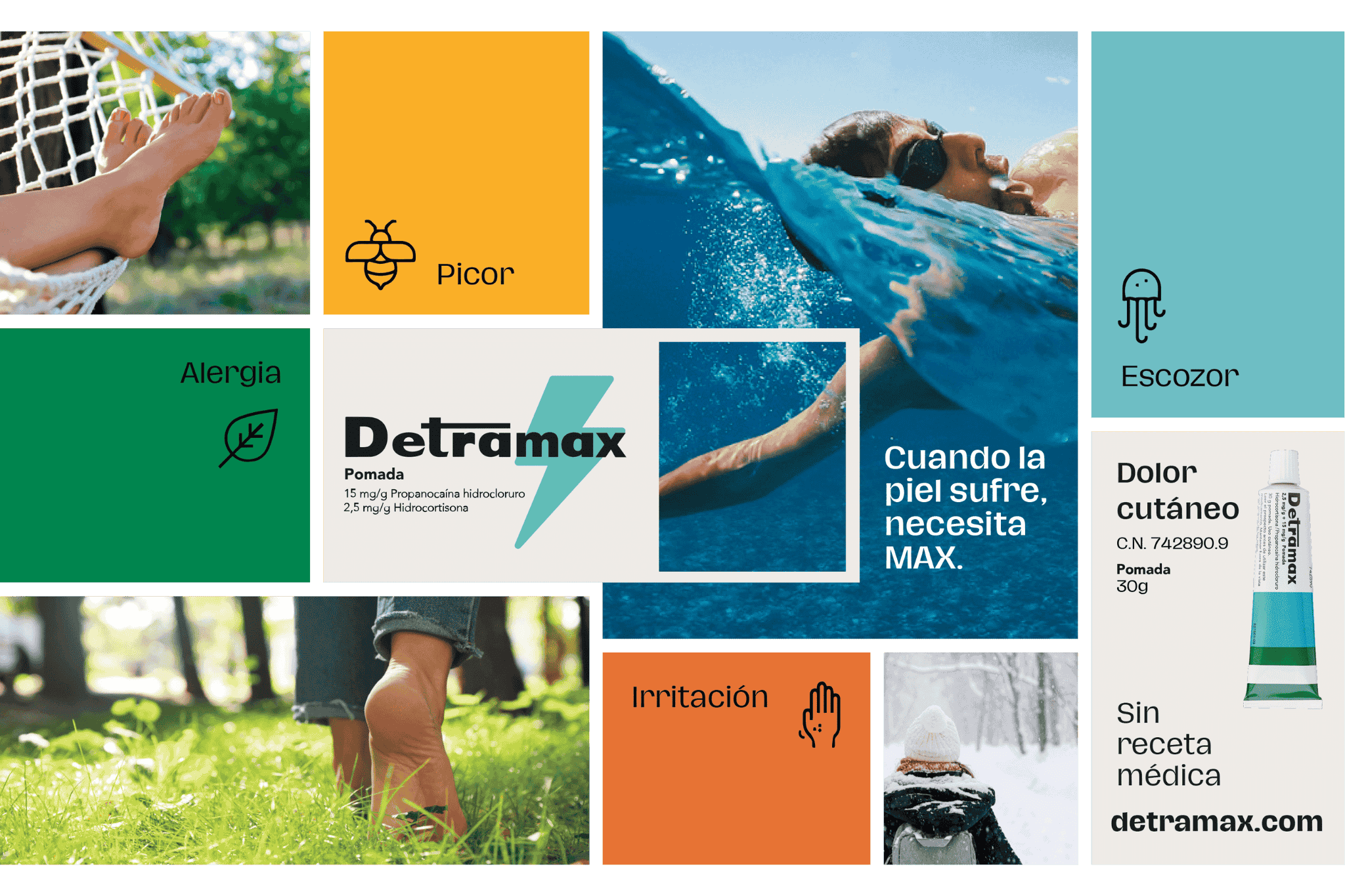 collage detramax